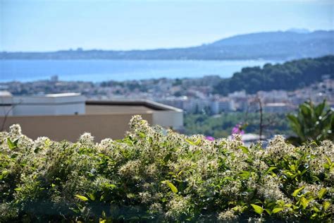 plein ciel nice ouest|Plein Ciel Nice (06000) 6, Avenue Auber .